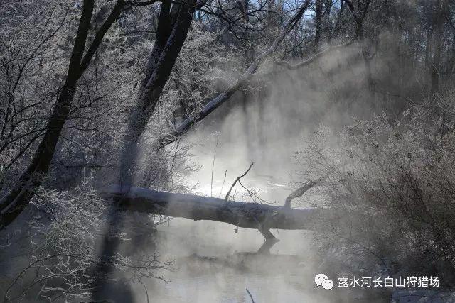 蒲智军副州长督导检查安全生产和消防工作