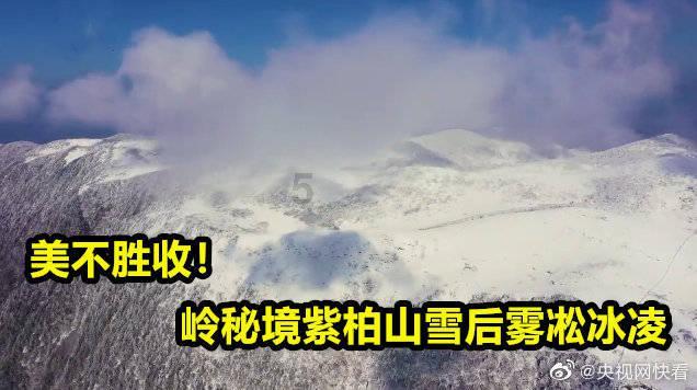 60Si8弹性极限和耐疲劳性